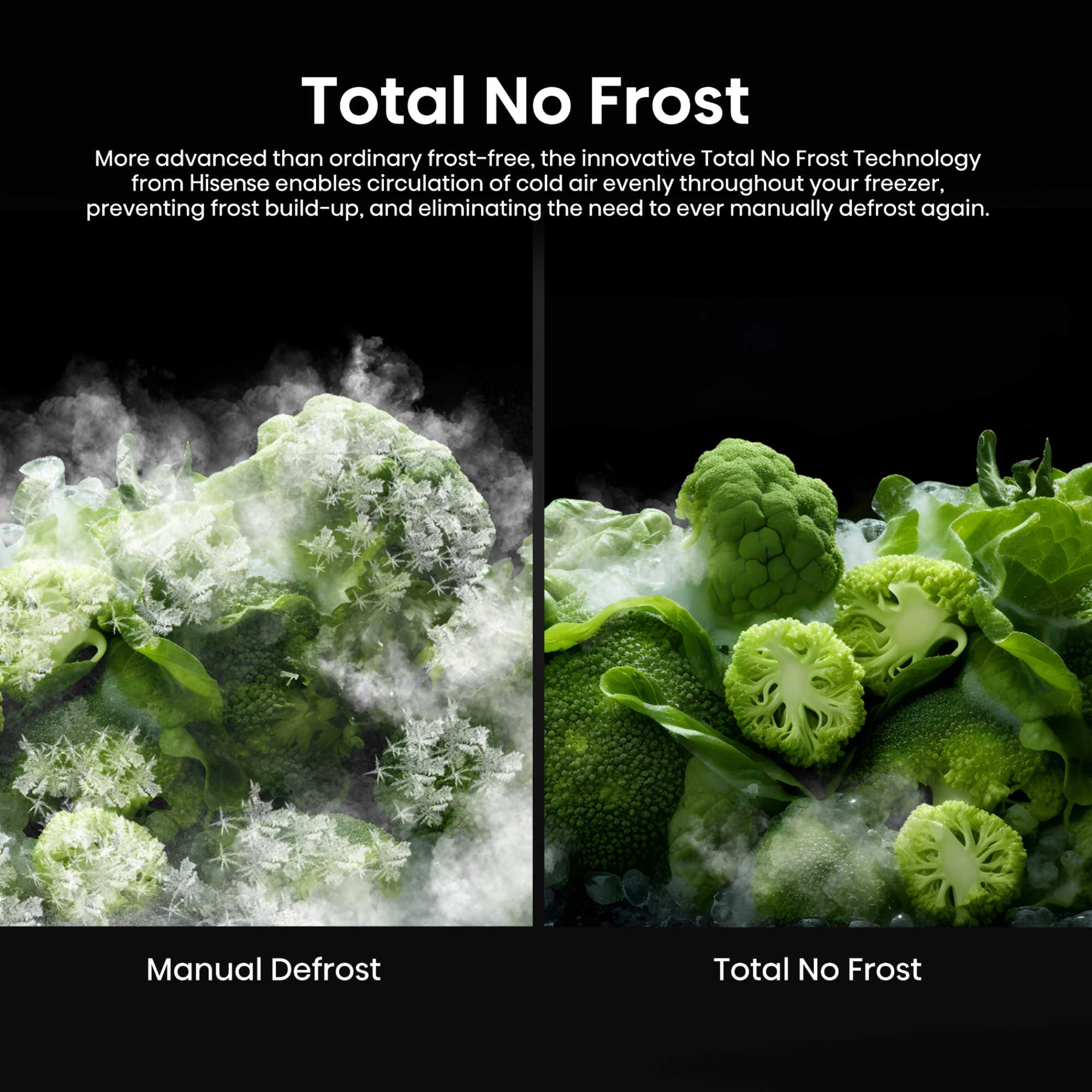 RQ768N4GVE 591L Total No Frost American Style Fridge Freezer - Silver Glass