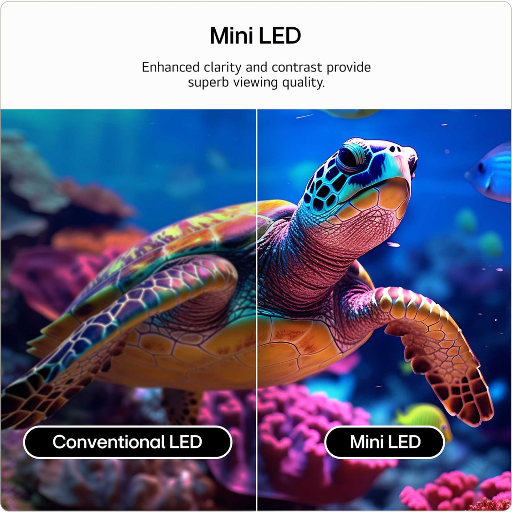 QNED87 65" 4K QNED Mini LED Smart TV - 65QNED87B6A