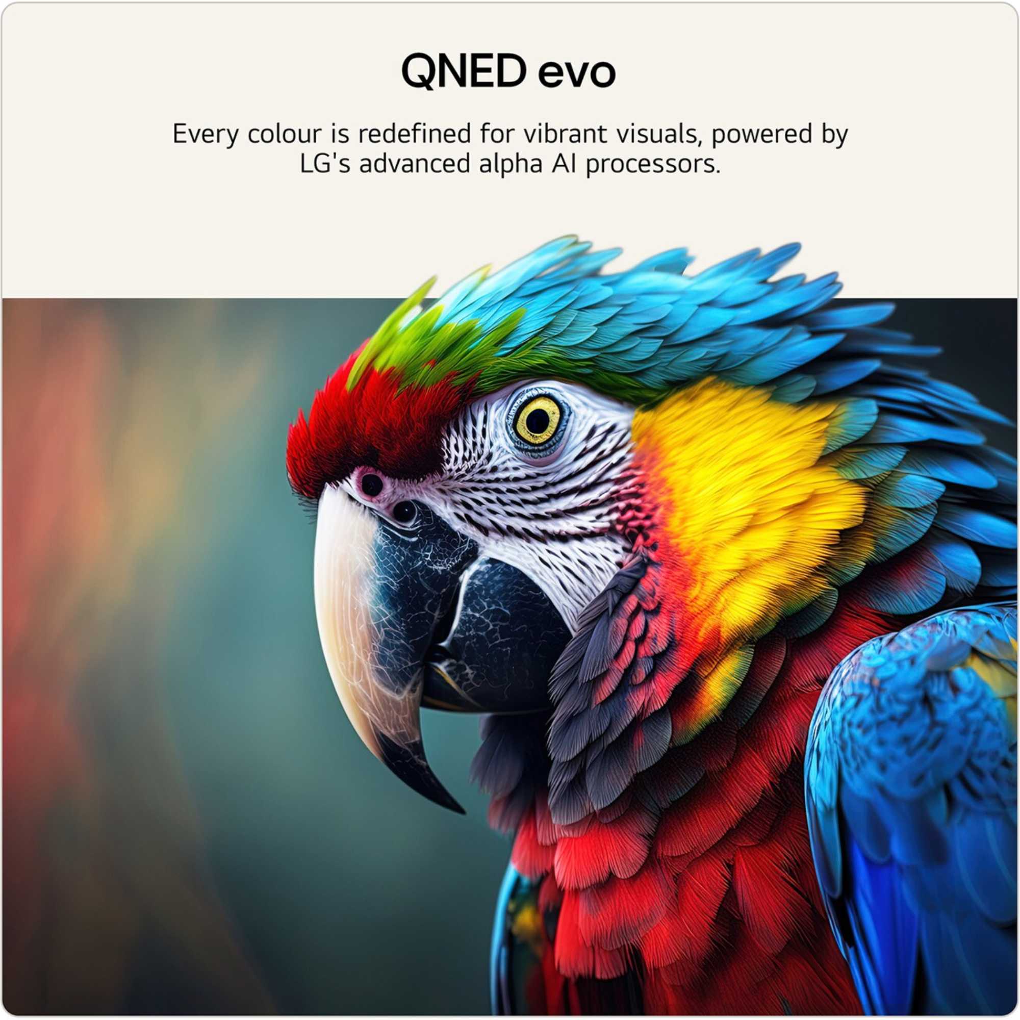 QNED87 55" 4K QNED Mini LED Smart TV - 55QNED87B6A