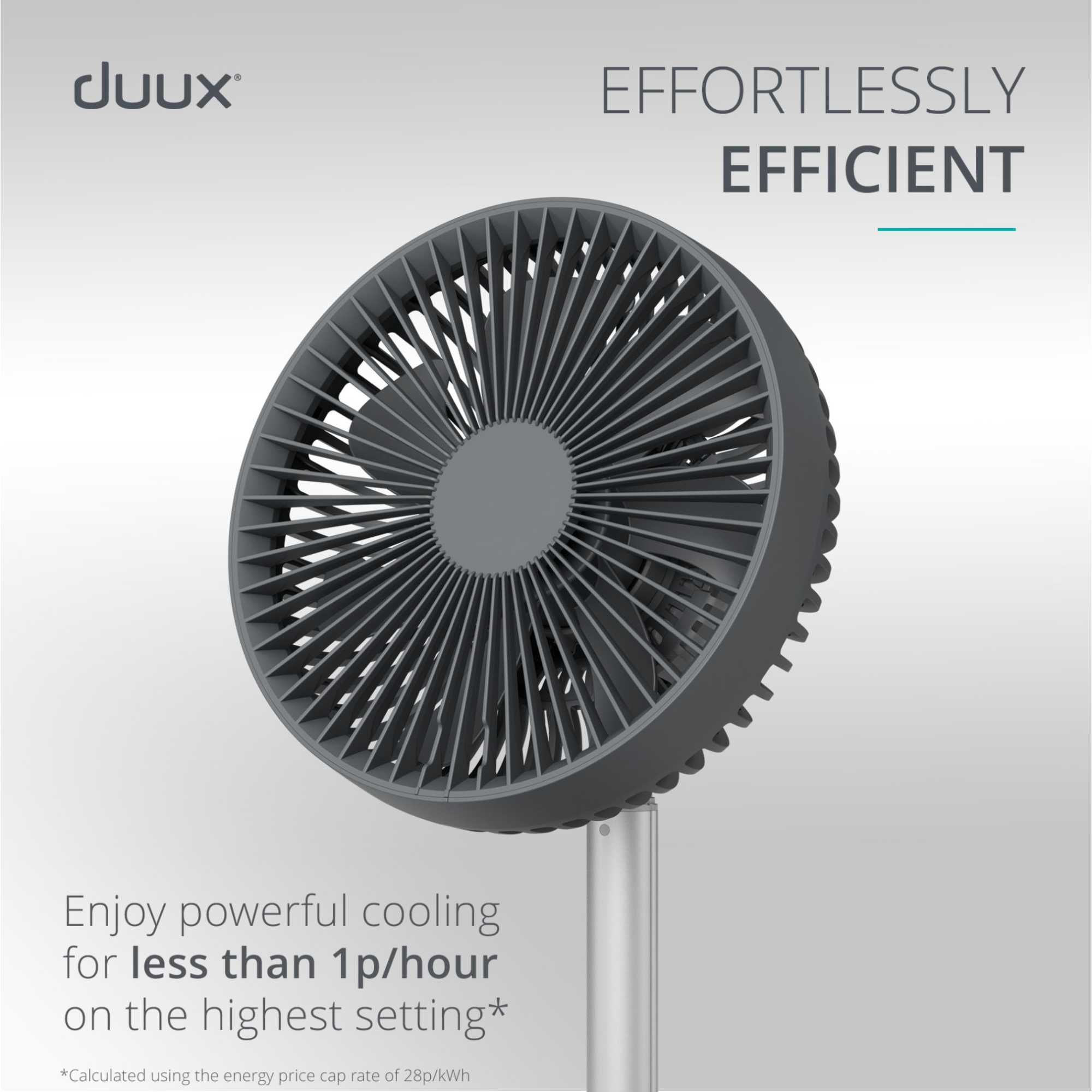 Rize Cordless Fan - DXCF90UK