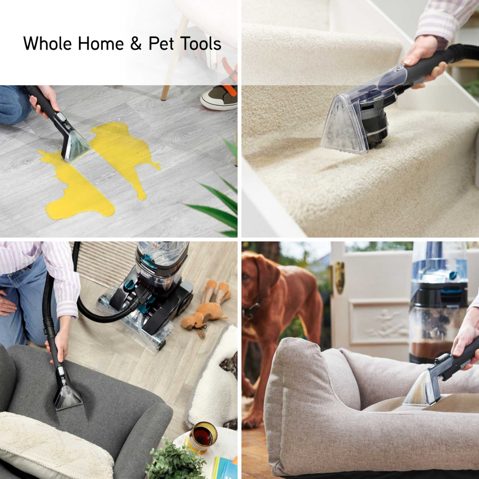 CDCW-PMXP Platinum Power Max Pet-Design Carpet Cleaner - Black & Teal