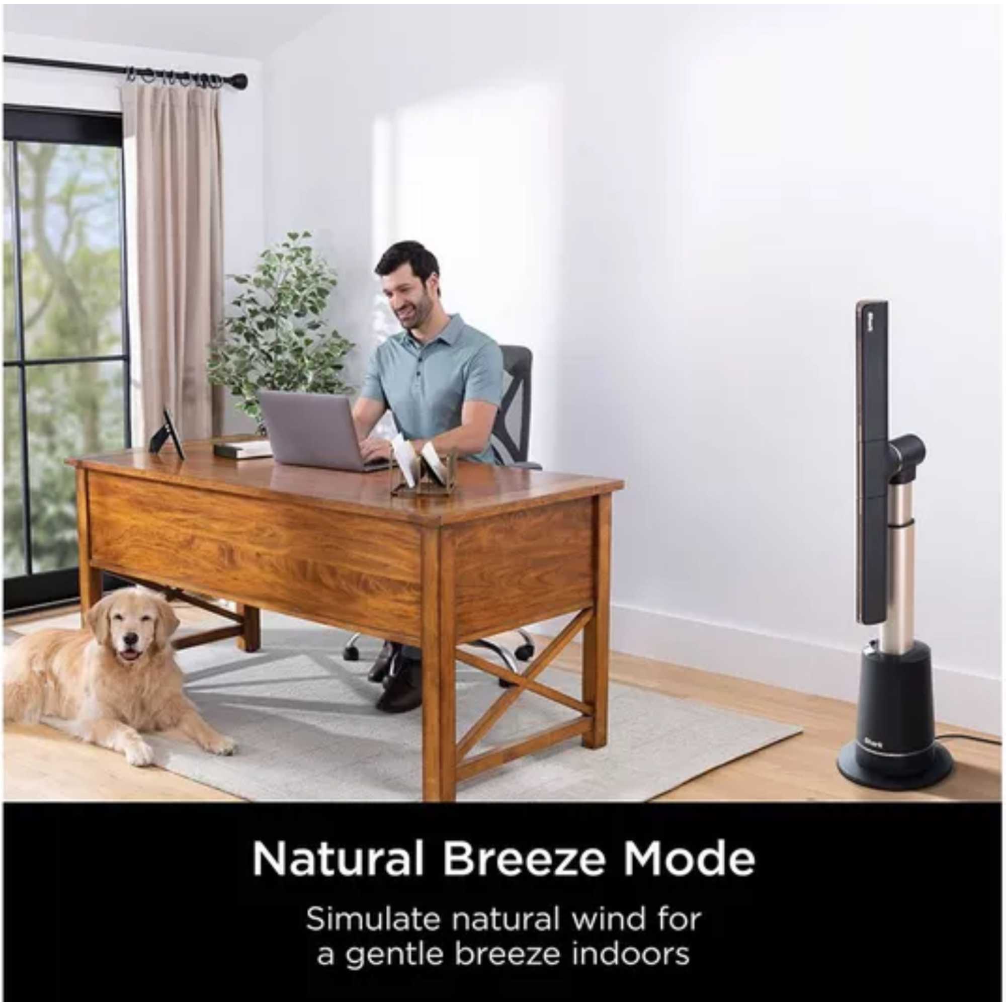 TF200SUK TurboBlade High-Speed Multi-Directional Tower Fan - Charcoal