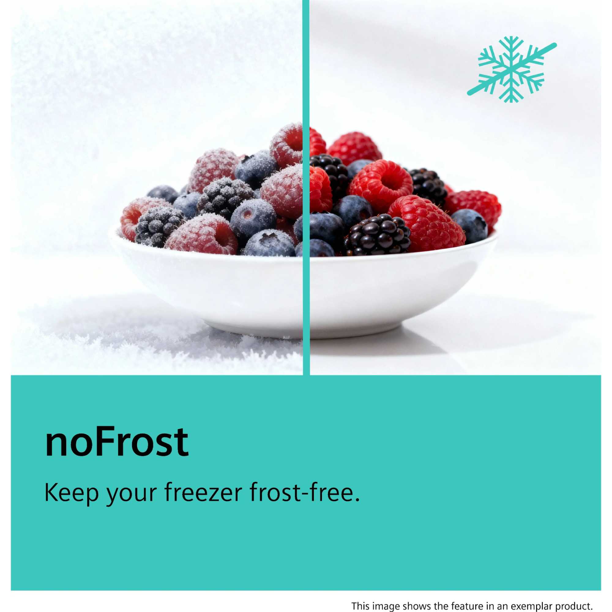 iQ300 GS36NVIEPG 242l Tall noFrost Freezer - Inox