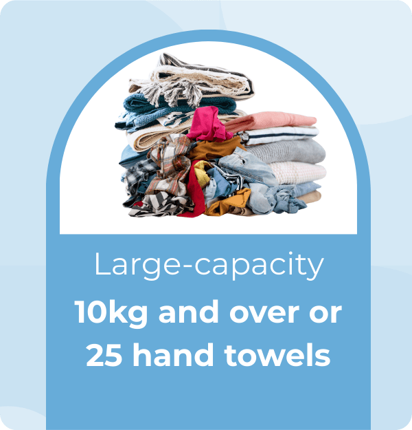 Large capacity tumble dryer