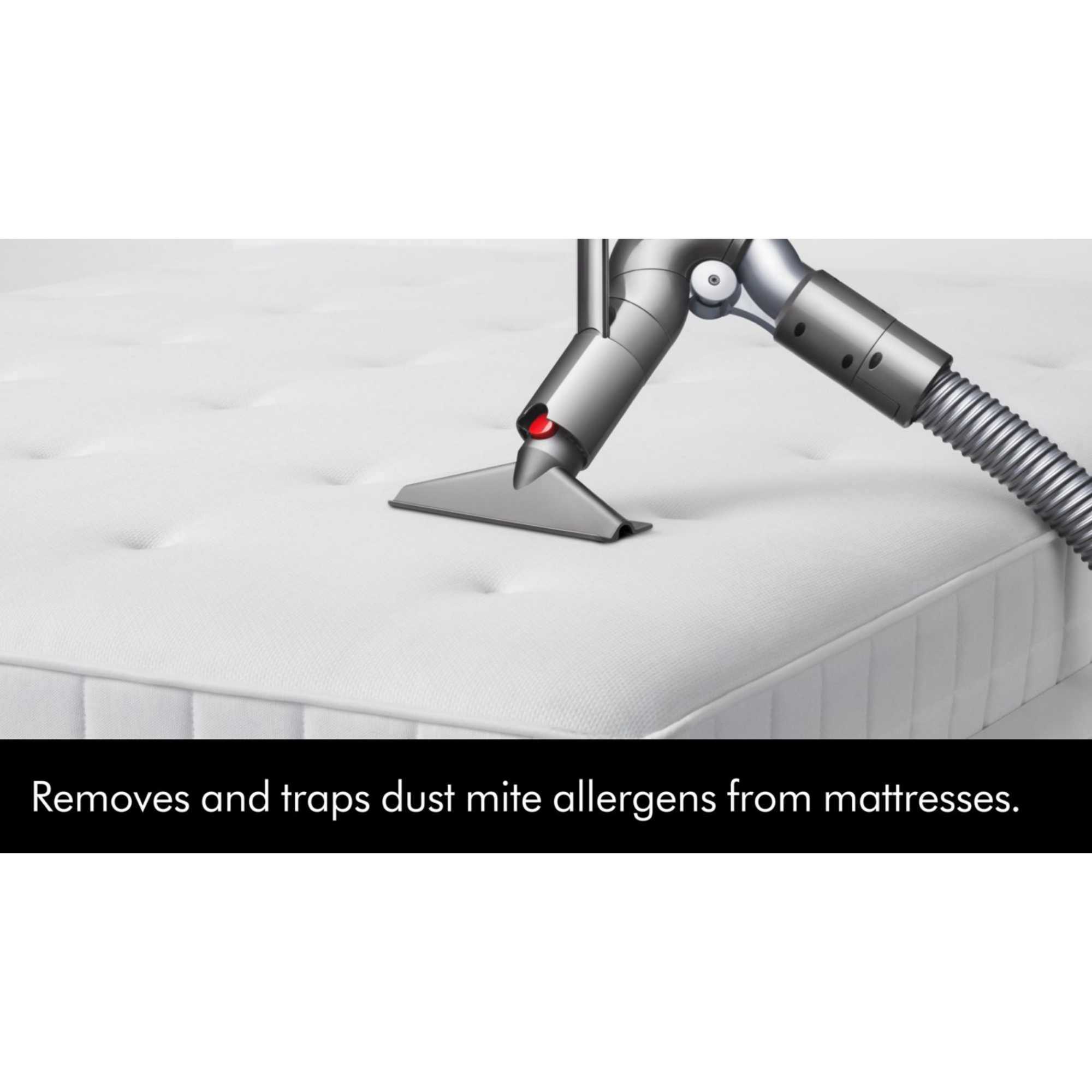 Ball Animal Origin Vacuum Cleaner, Silver