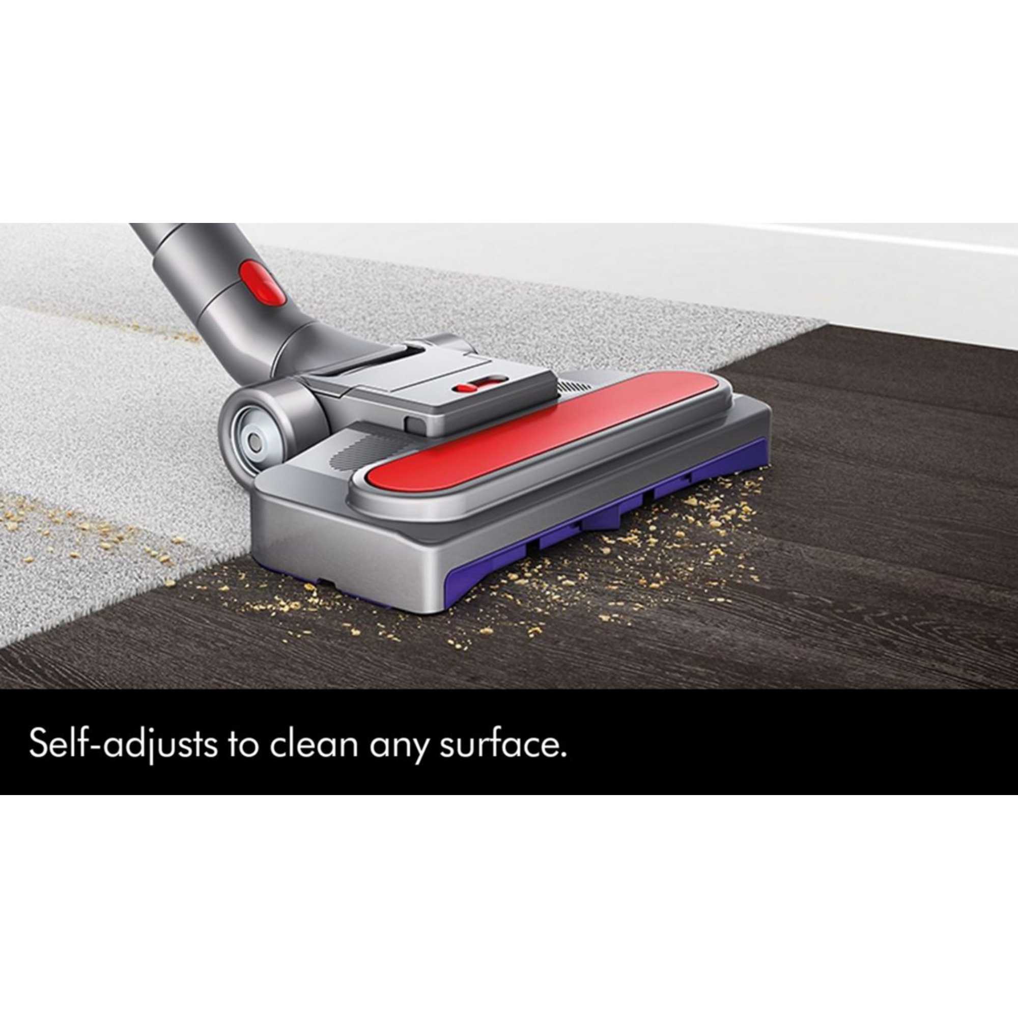 Big Ball Animal 2 Multi-Floor Vac, Silver