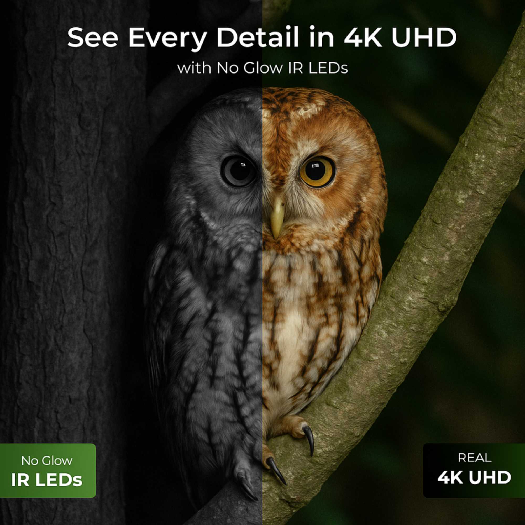 Go Series 4K PT Battery 4G LTE Outdoor Wildlife Camera with Solar Panel +32GB