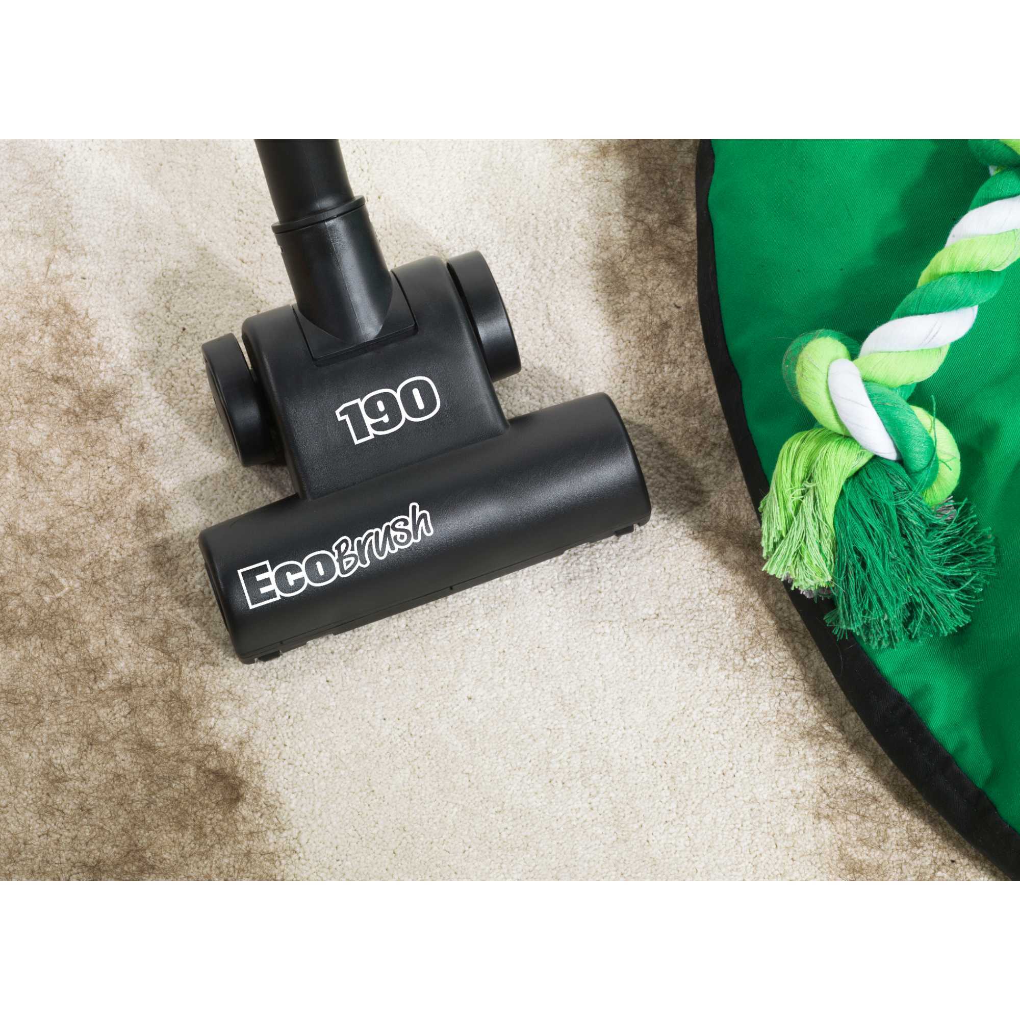 PET200 9L 620W Pet Vacuum Cleaner - Green