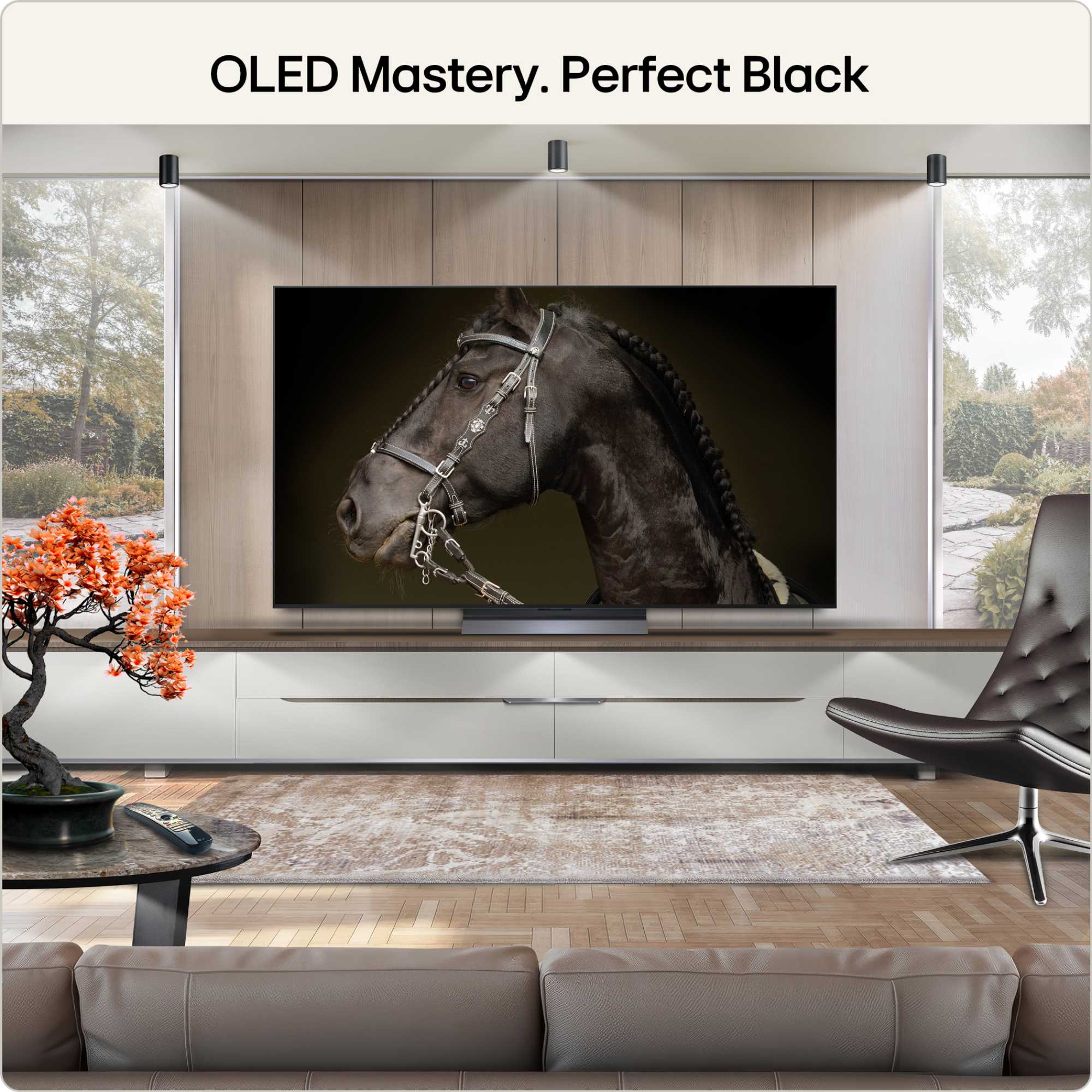 C66LB 55" 4K Ultra HD OLED HDR evo AI Smart TV - 55C66LB