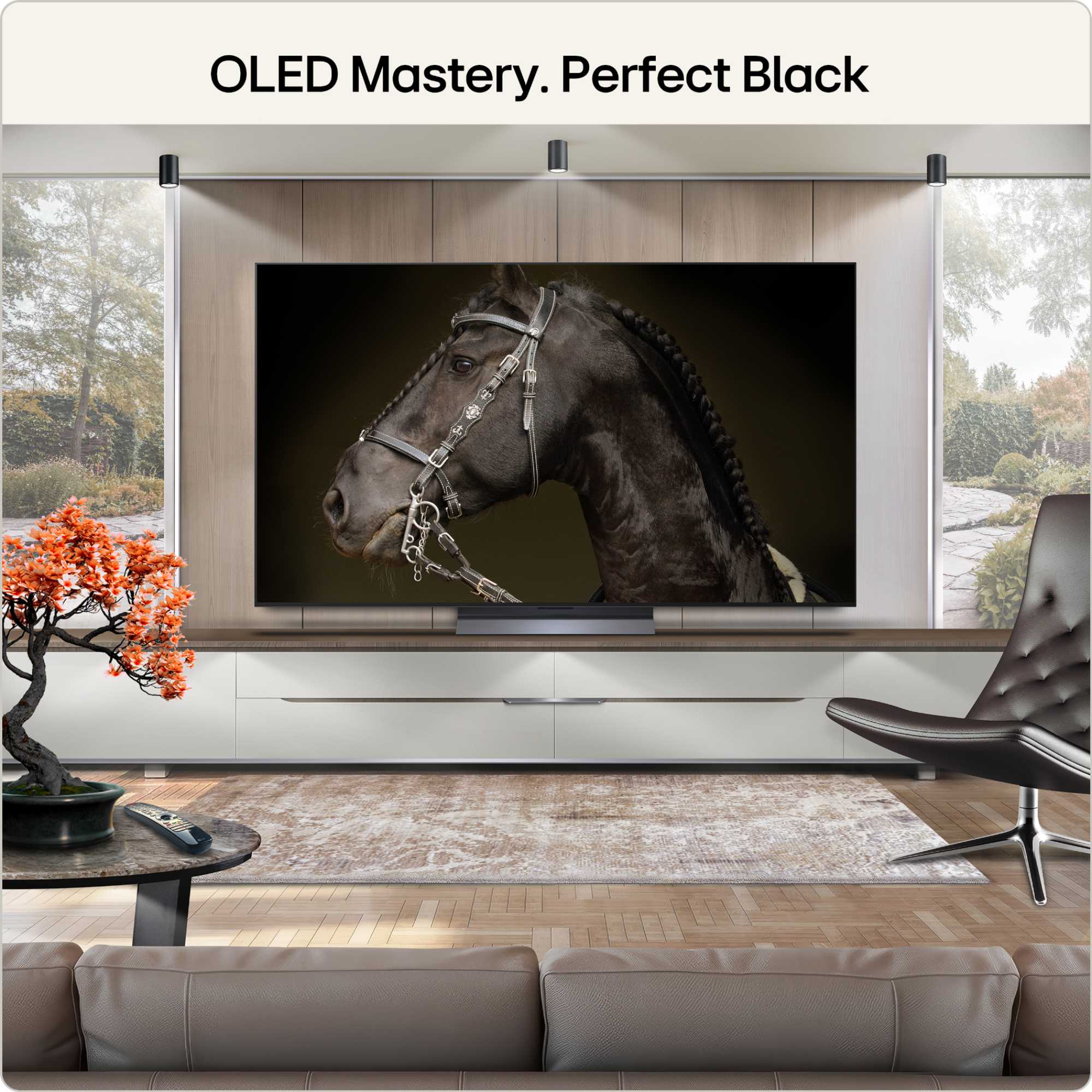 C66LB 65" 4K Ultra HD OLED HDR evo AI Smart TV - 65C66LB