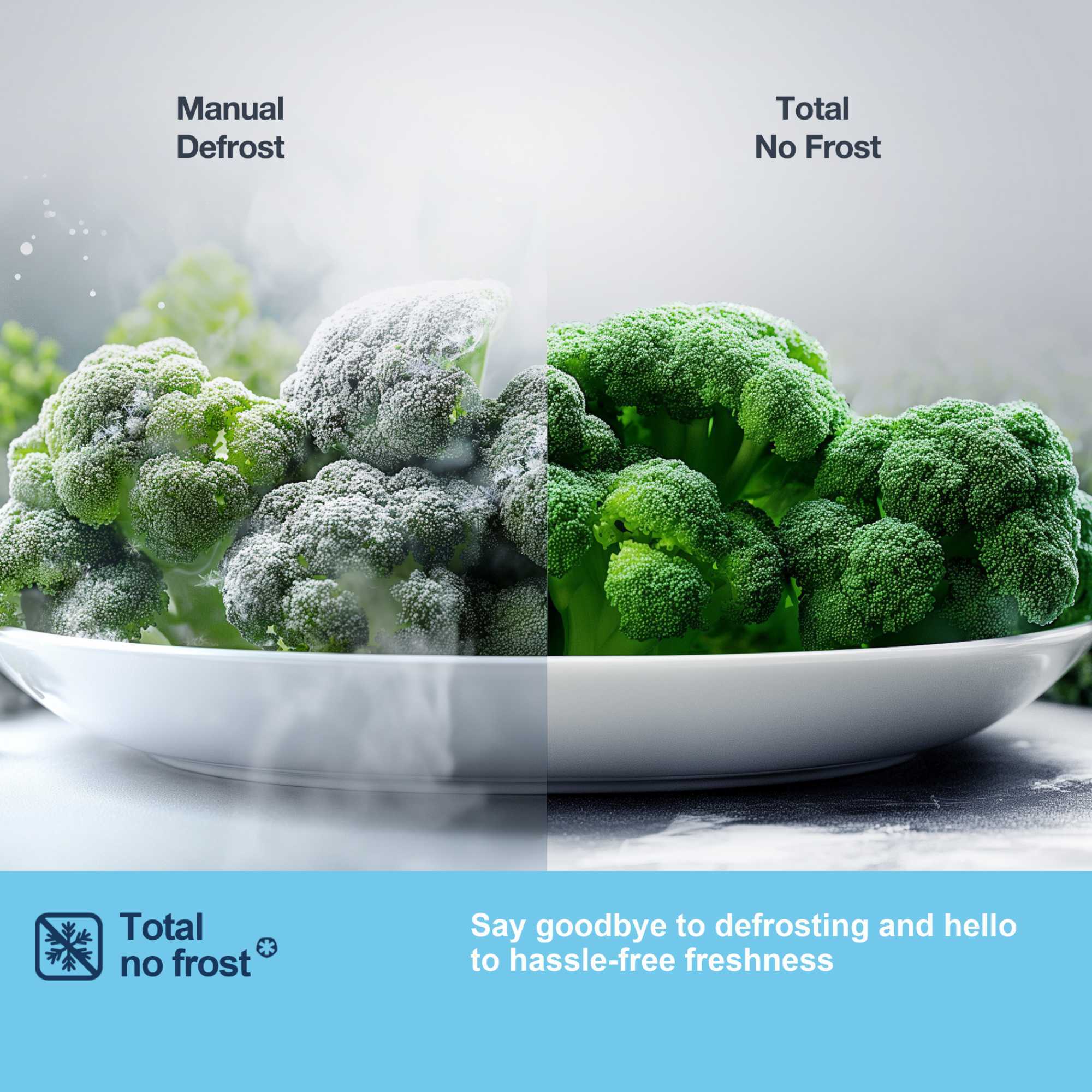 MC55251DE 256L Total No Frost Fridge Freezer with Water Dispenser - White