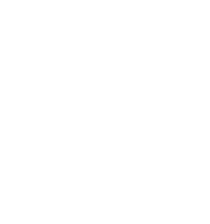 Smart home features