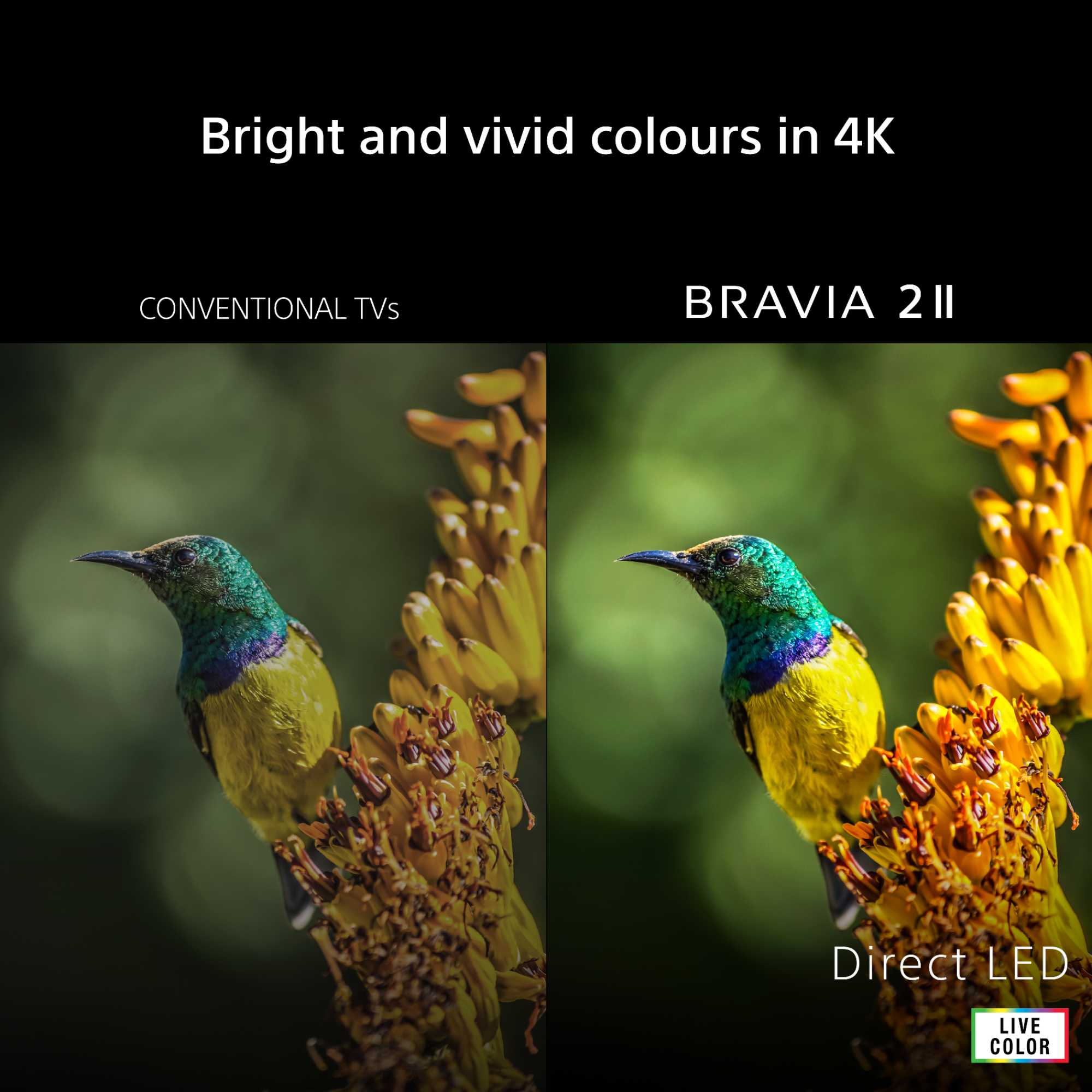 BRAVIA 2 II 75" 4K Ultra HD Direct LED Google TV - K-75S25M2