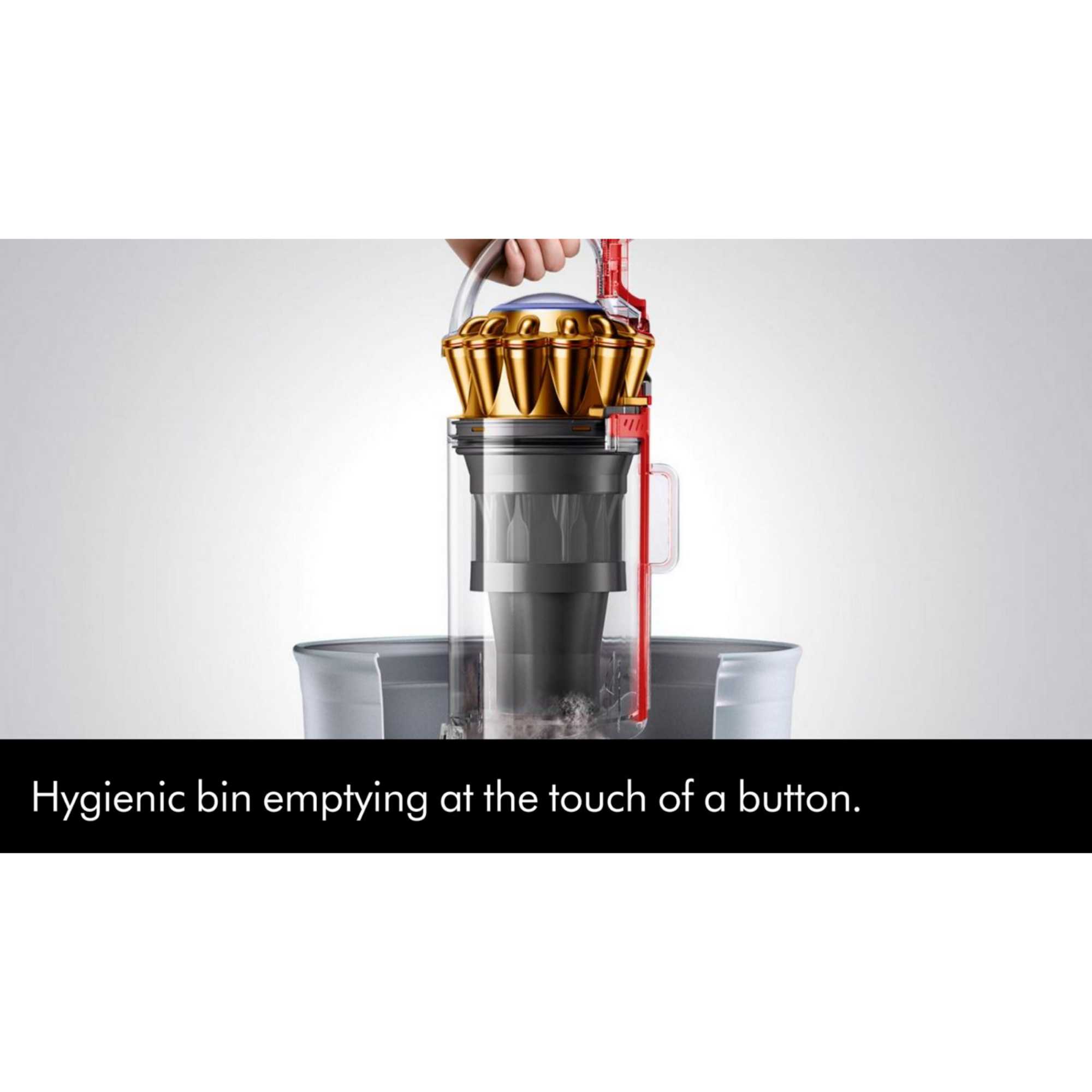 Dyson BALLANIMALORIG2