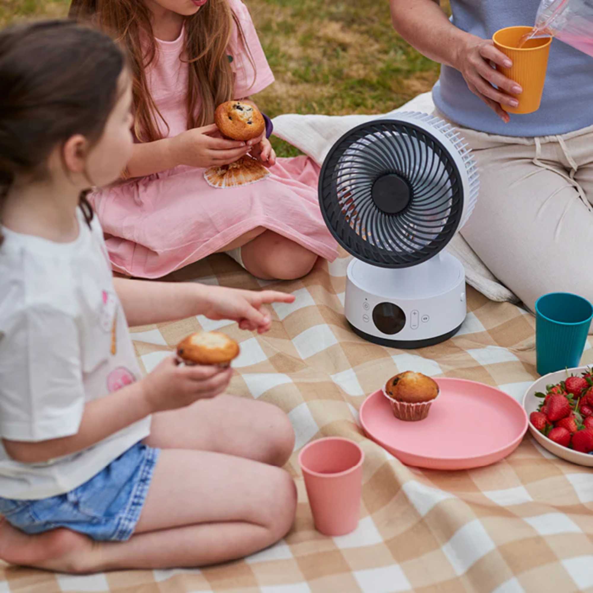 Sefte 6" Portable Battery Air Circulator - SEFTE-6
