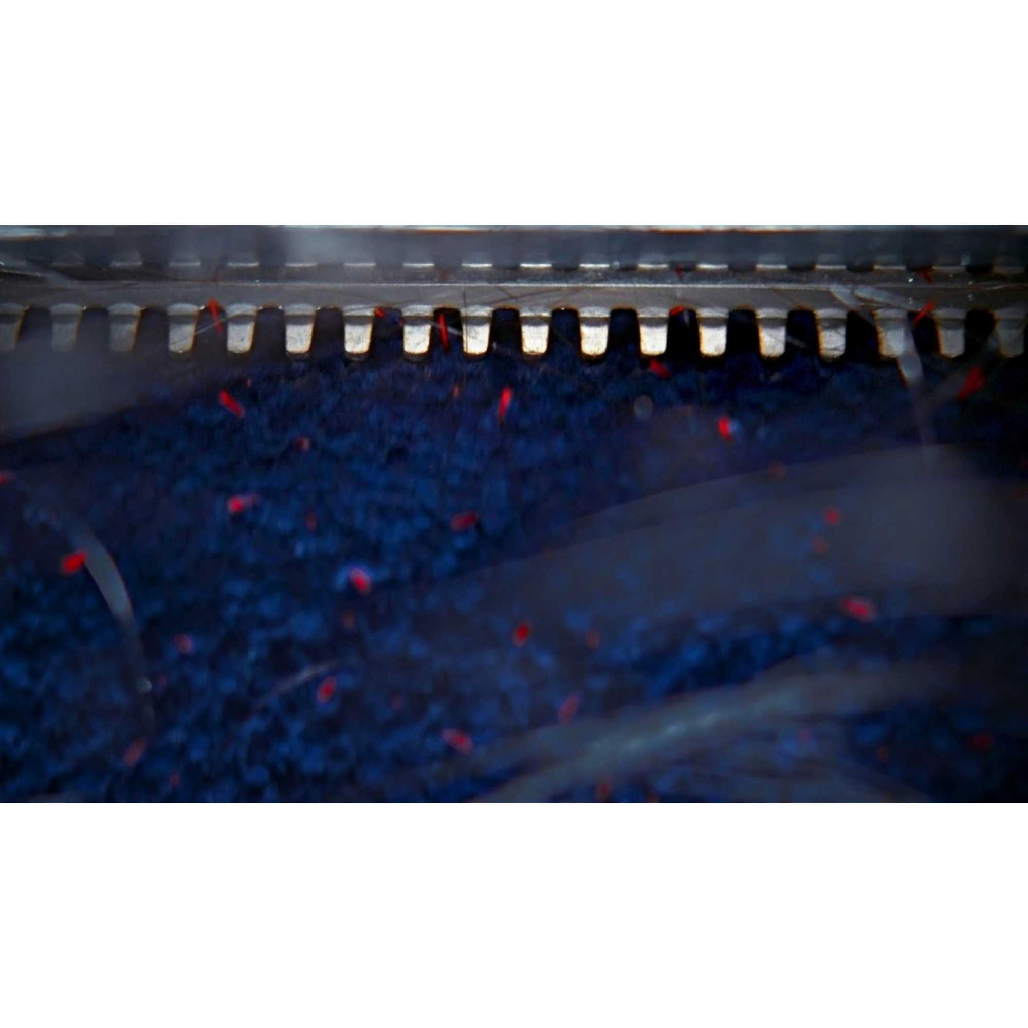 Clean+Wash Hygiene Hard Floor Cleaner, Copper/Blue