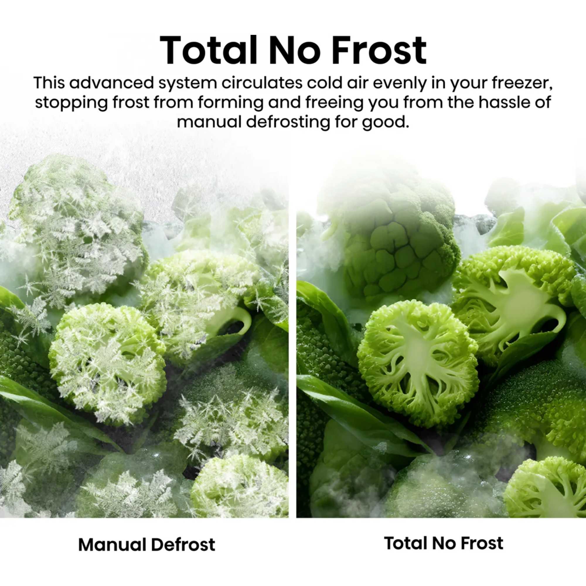 PureFlat RS5P668SSCC American Fridge Freezer No Frost - Silver