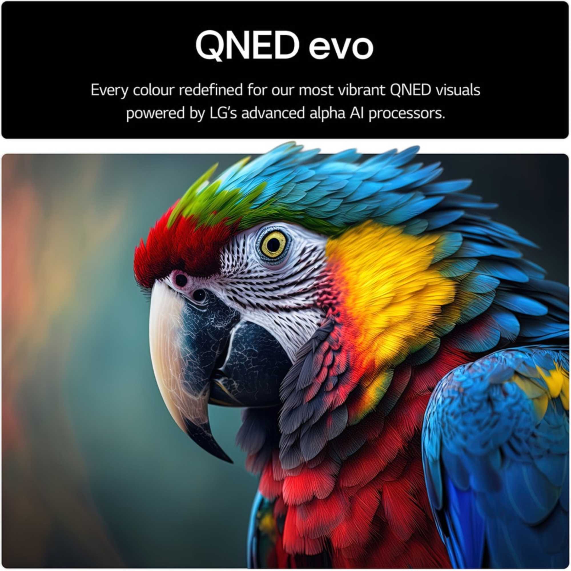 85A6C 65" 4K Ultra HD QNED HDR Smart TV - 65QNED85A6C