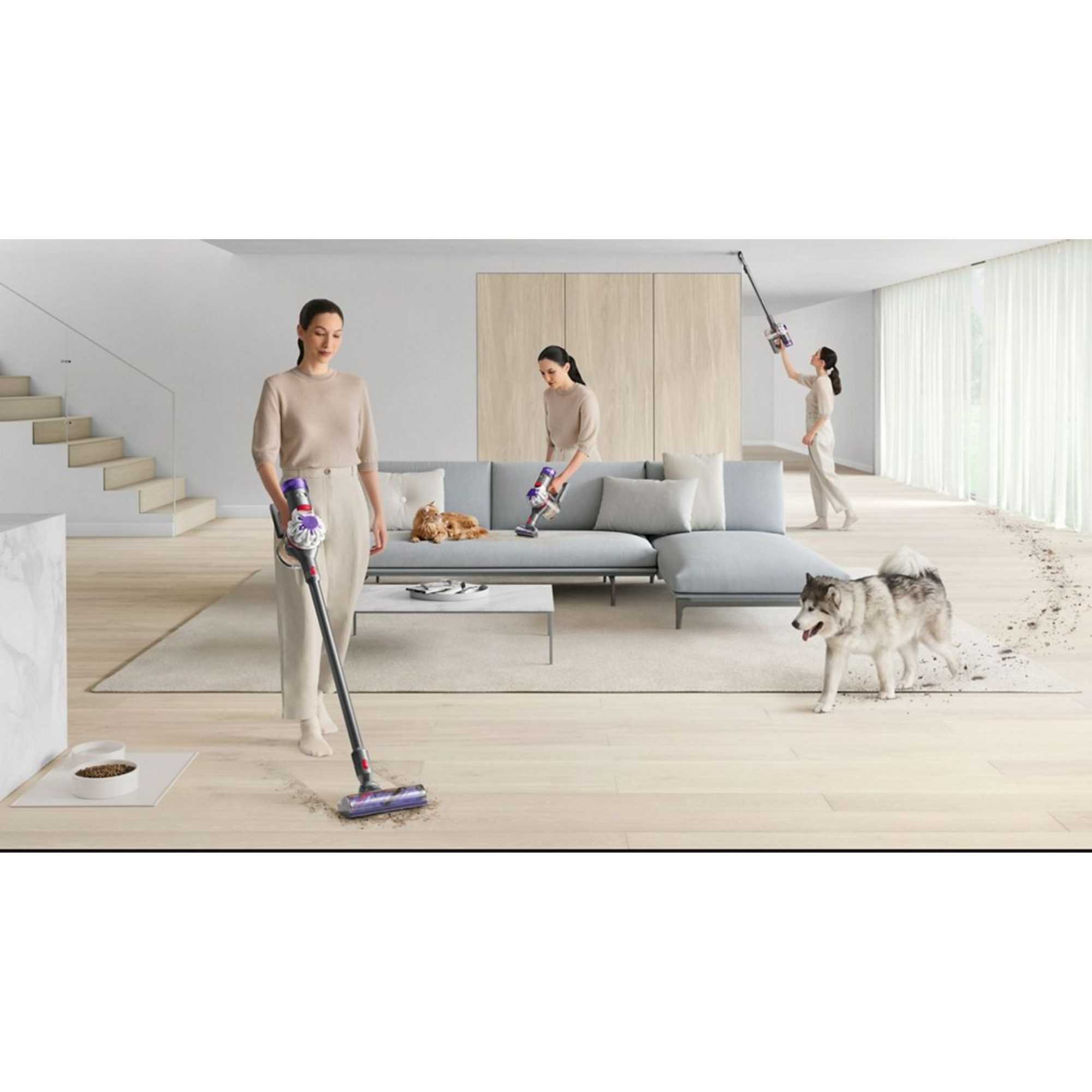 V8 Advanced Vacuum Cleaner, Silver/ Nickel