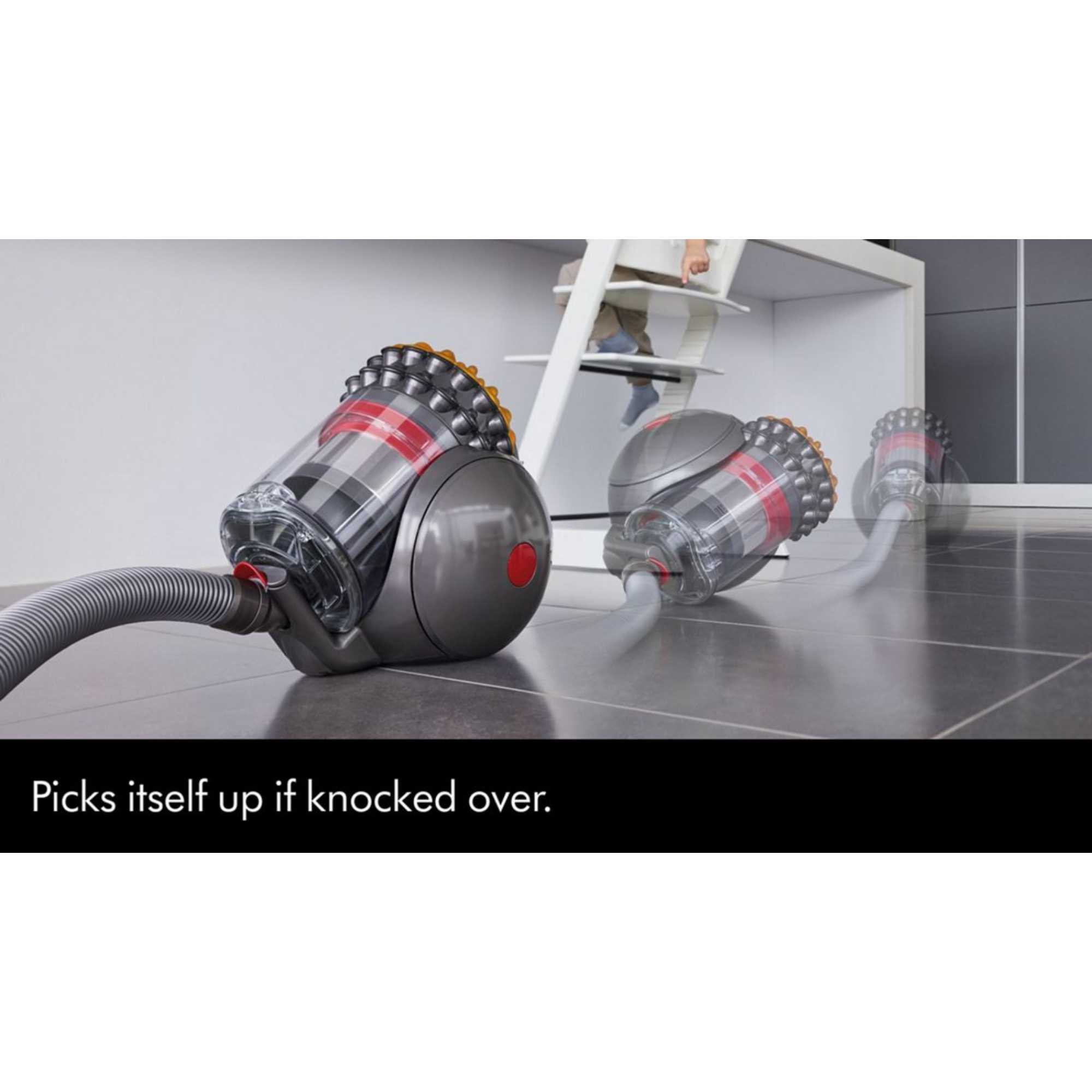 Big Ball Animal 2 Multi-Floor Vac, Silver
