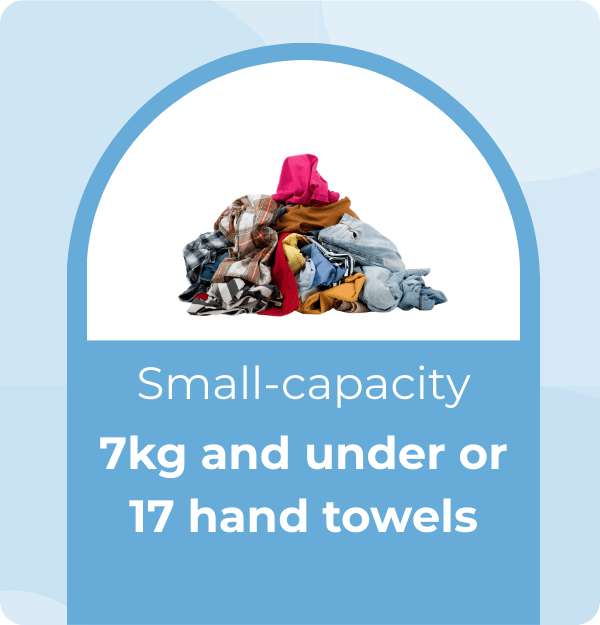 Small capacity tumble dryer