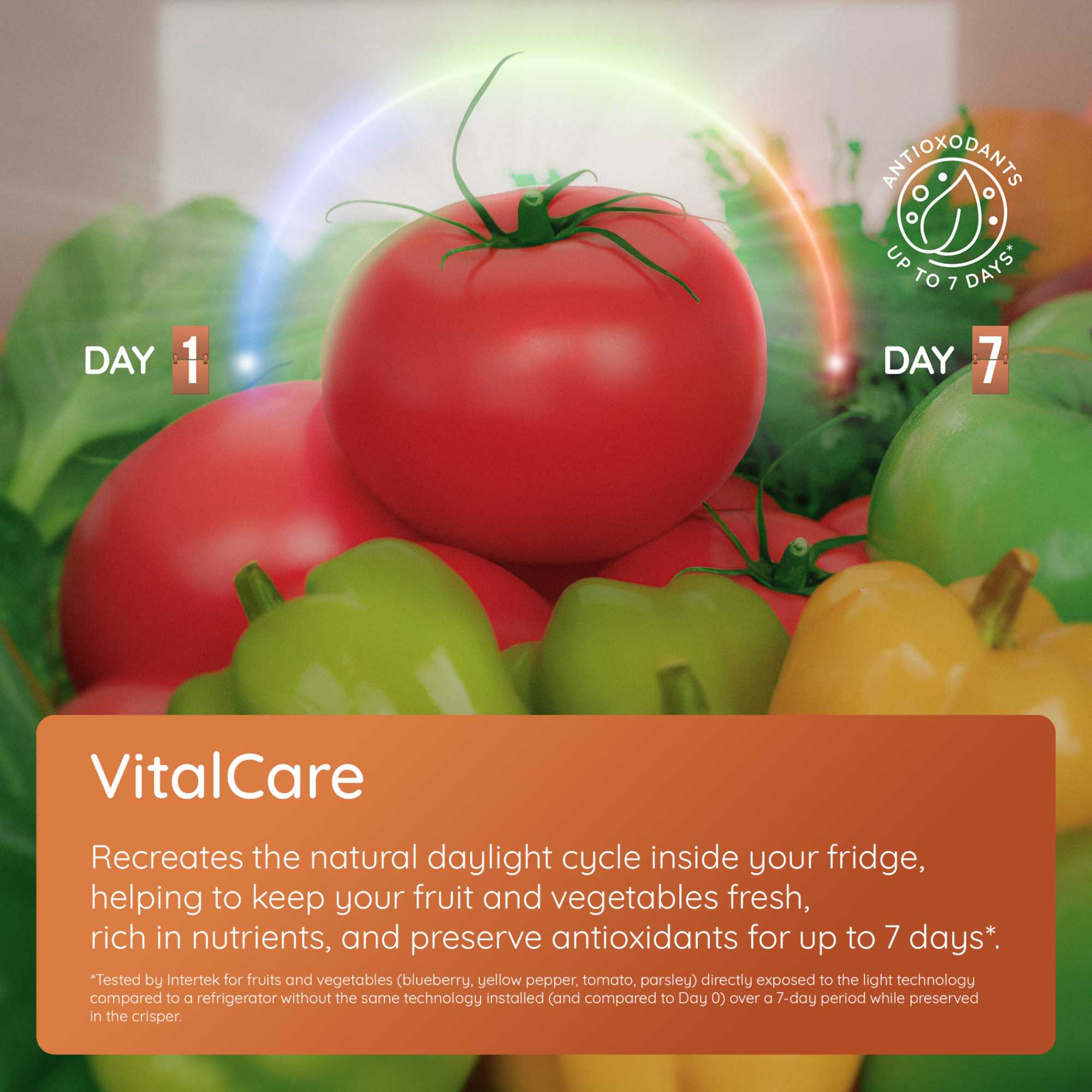 HPMLF 6442 W4UK 365L No Frost Larder Fridge - White