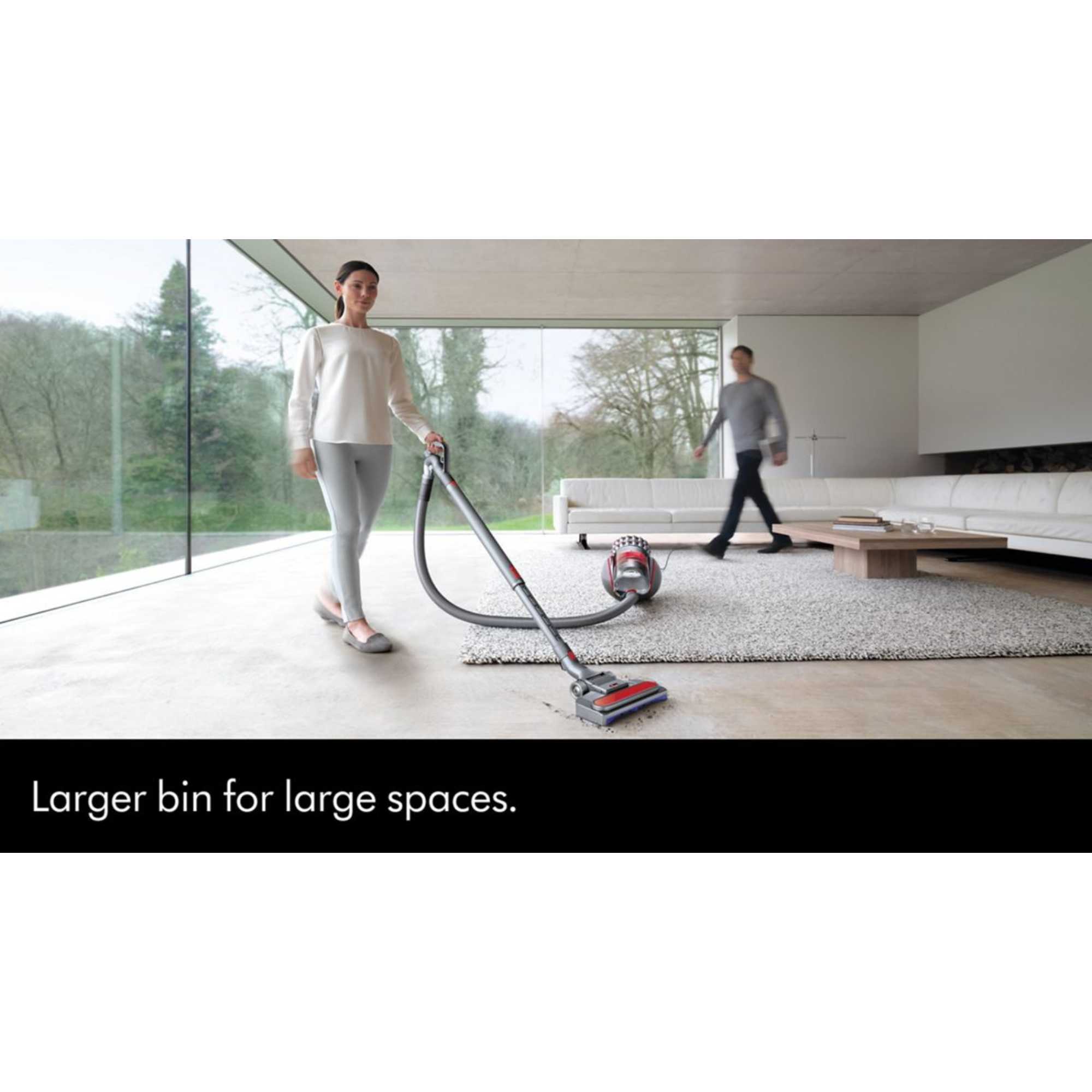 Big Ball Animal 2 Multi-Floor Vac, Silver