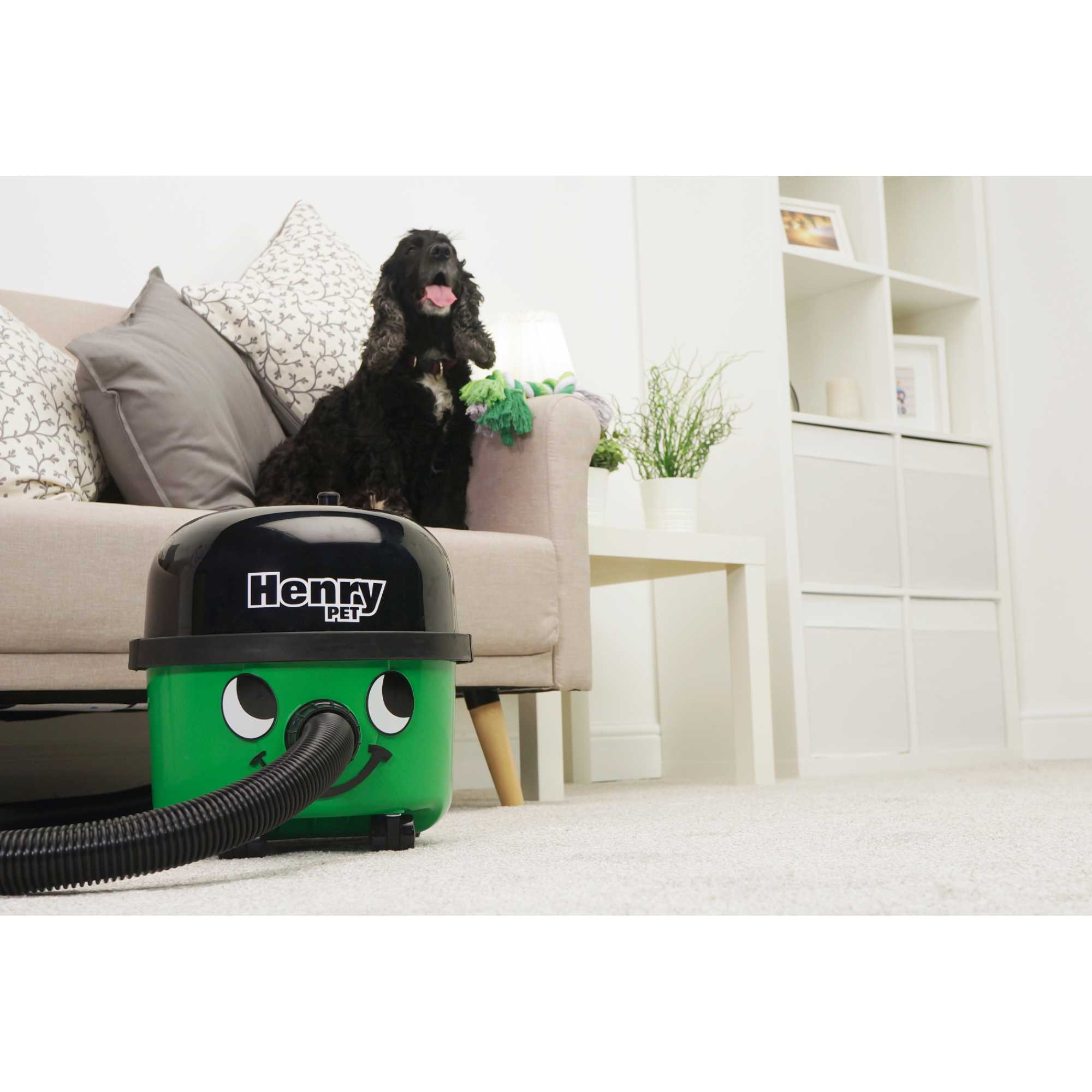 PET200 9L 620W Pet Vacuum Cleaner - Green
