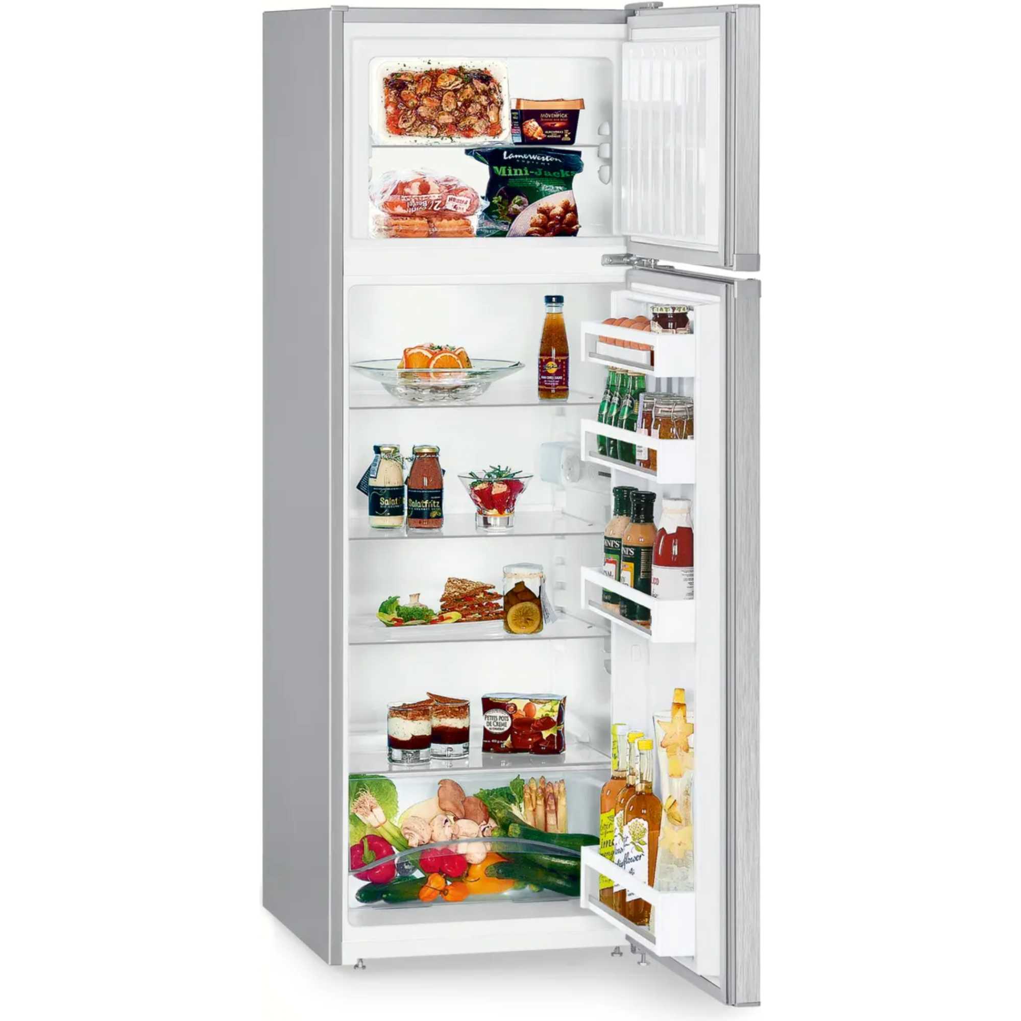 CTELE2931 270L Fridge with IceBox - Silver
