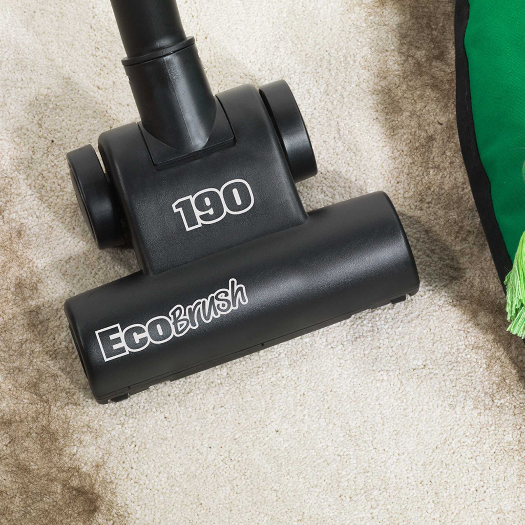 PET160 6L 620W Pet Vacuum Cleaner - Green