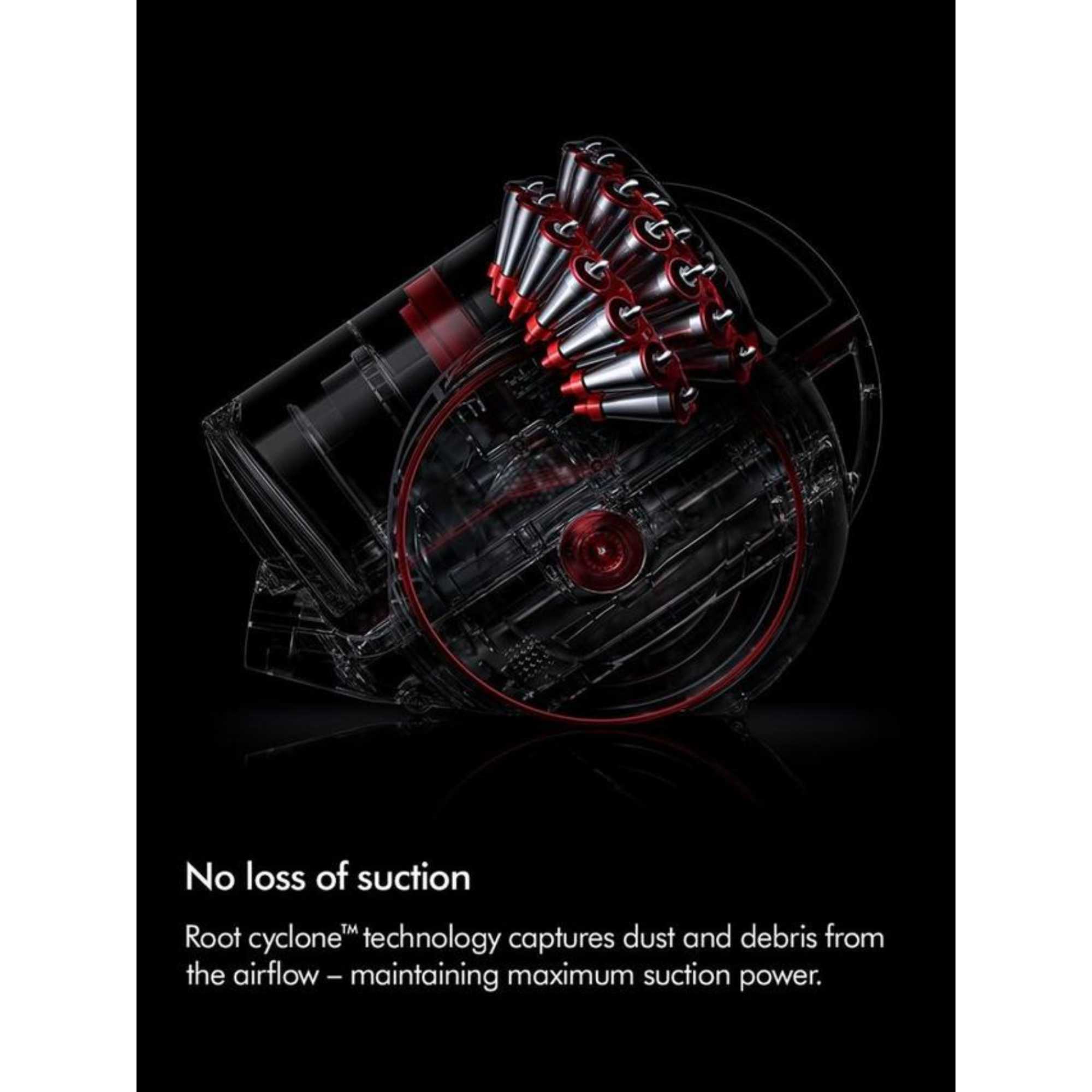 Big Ball Animal 2, Grey