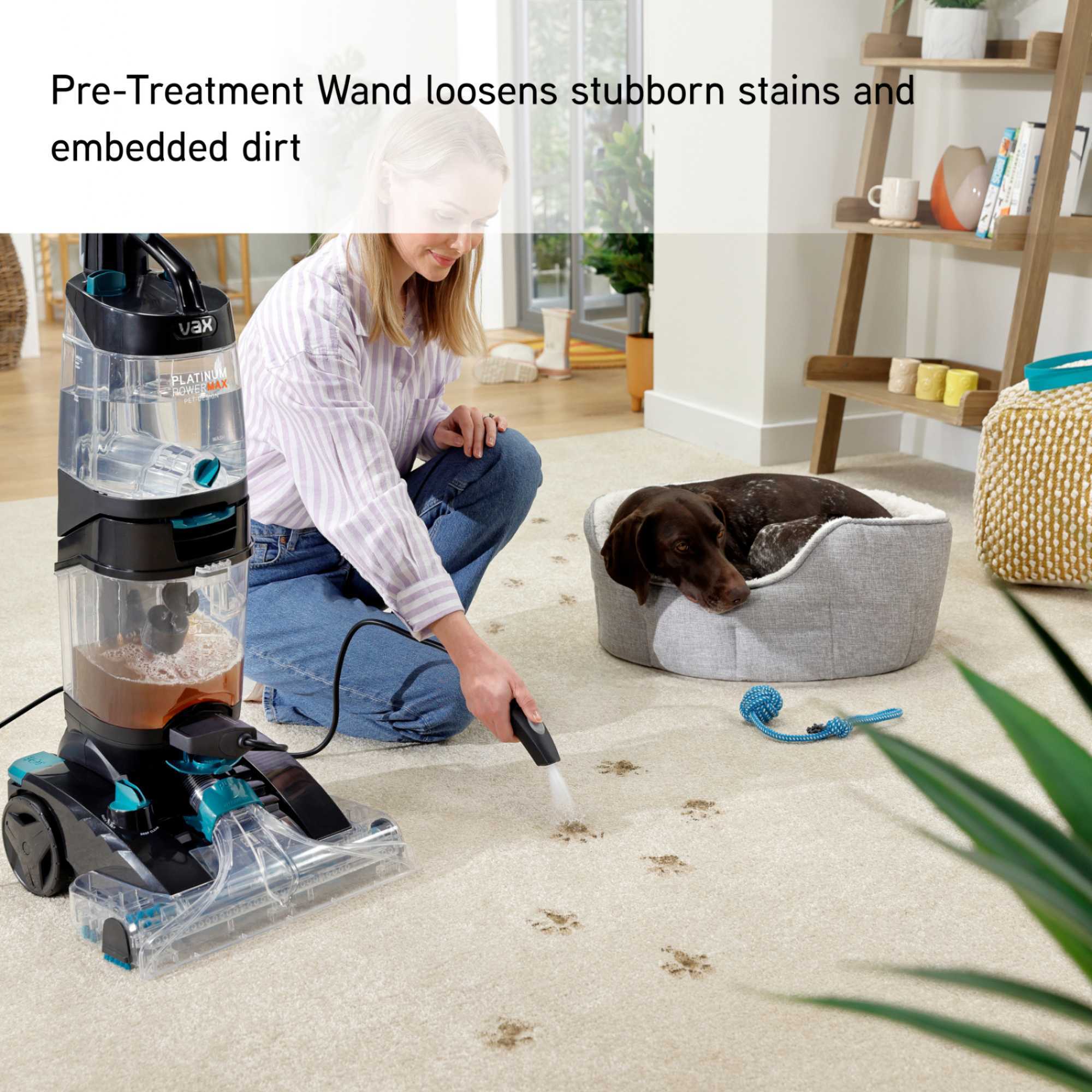 CDCW-PMXP Platinum Power Max Pet-Design Carpet Cleaner - Black & Teal