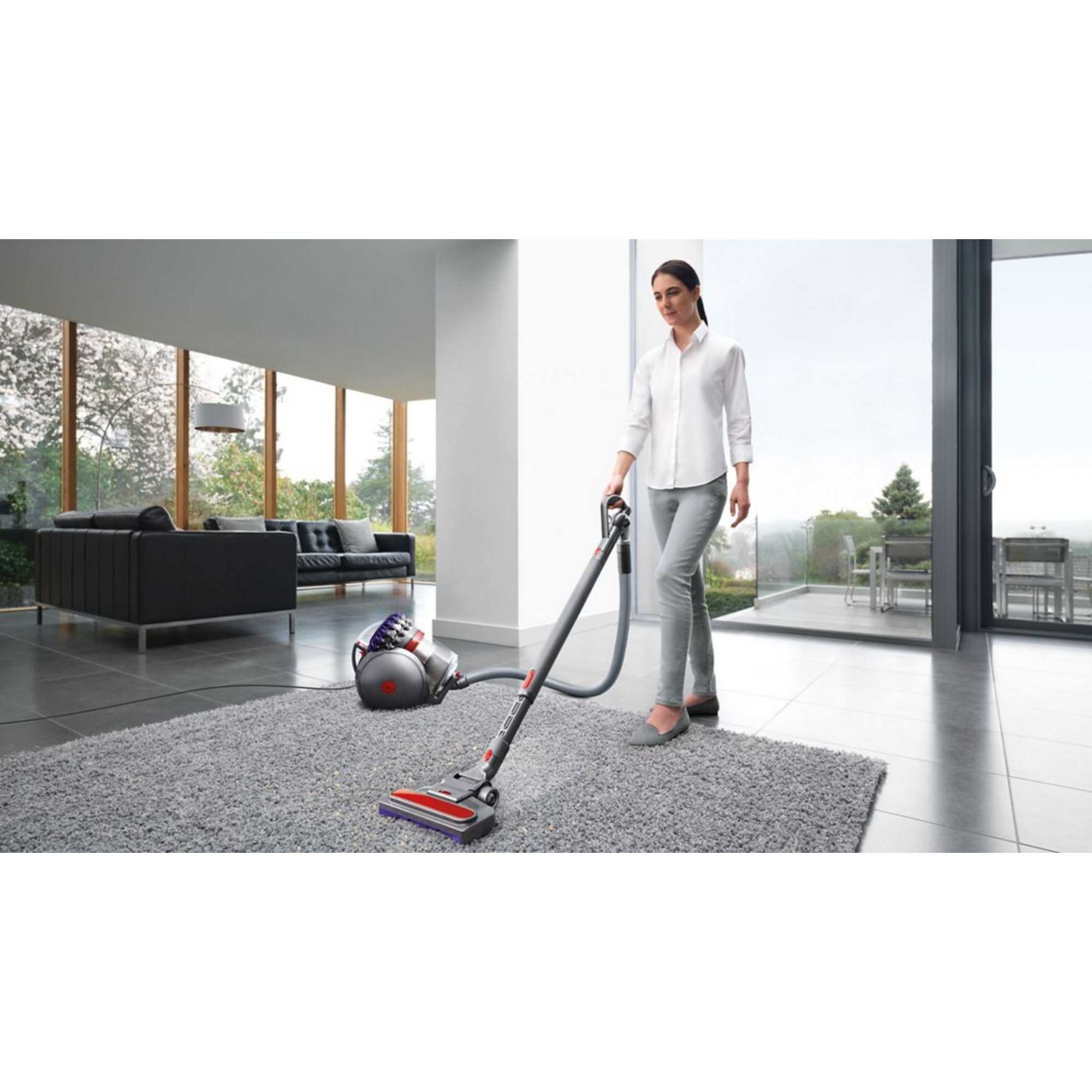 Big Ball Animal 2 Multi-Floor Vac, Silver