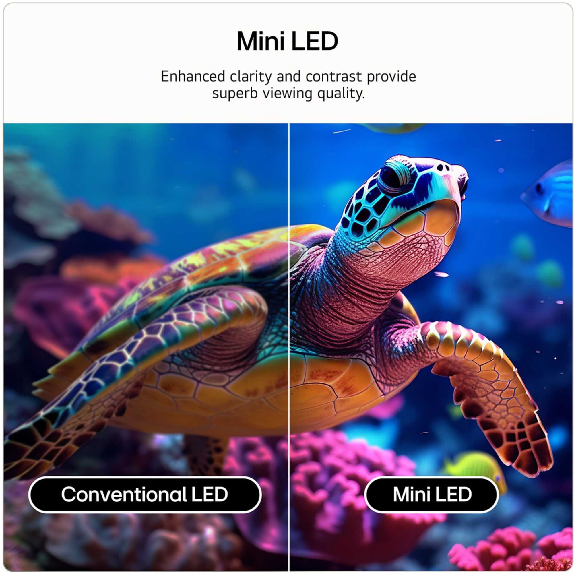 QNED71 55" 4K QNED Mini LED Smart TV - 55QNED71B6B