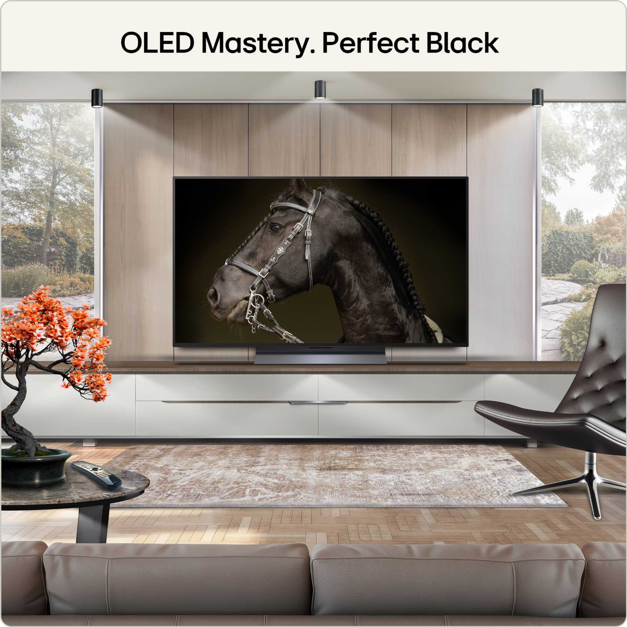 C66LB 48" 4K Ultra HD OLED HDR evo AI Smart TV - OLED48C66LB