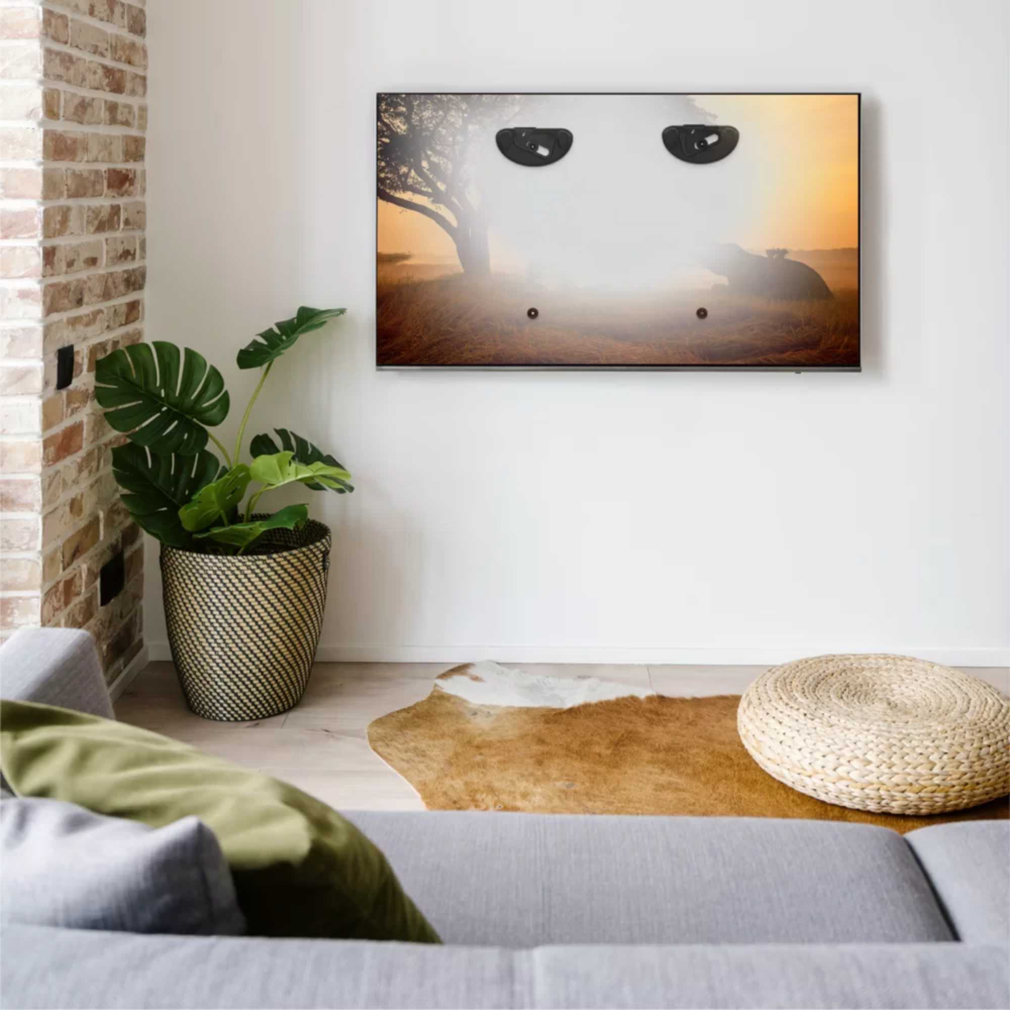 ANY80FW Low Profile Any Wall TV Mount