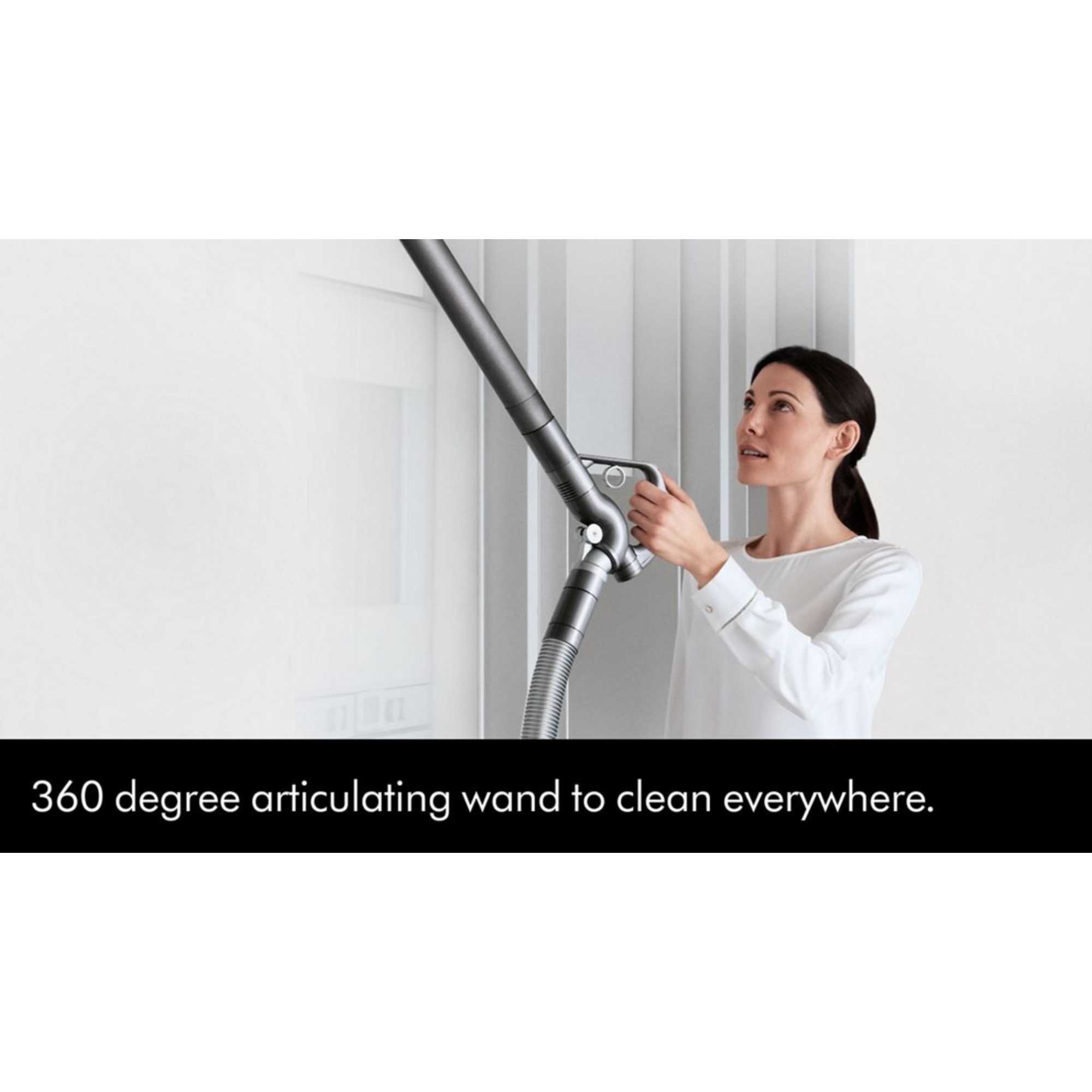 Big Ball Animal 2 Multi-Floor Vac, Silver