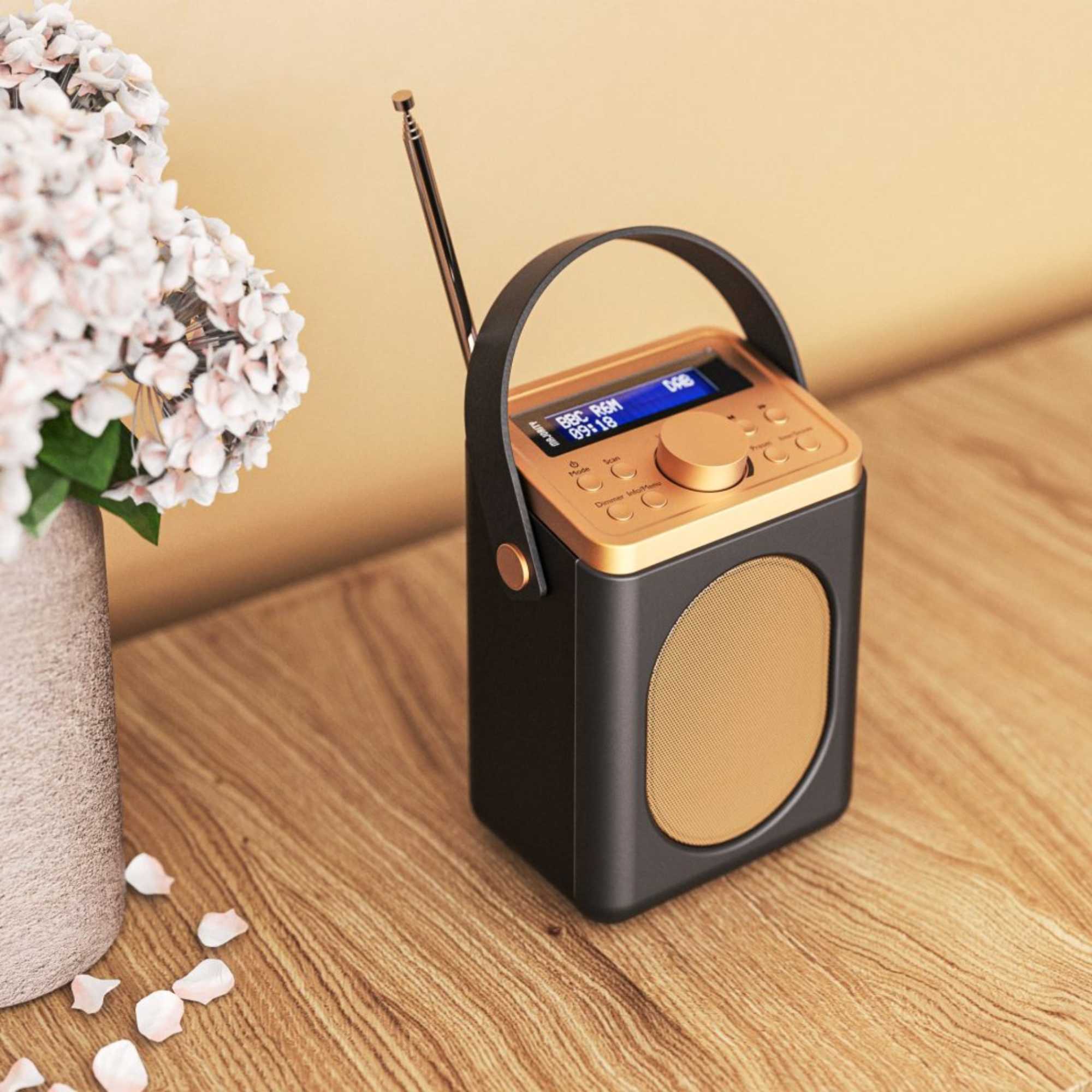 Little Shelford Dab Radio Portable Analog & Digital - Black