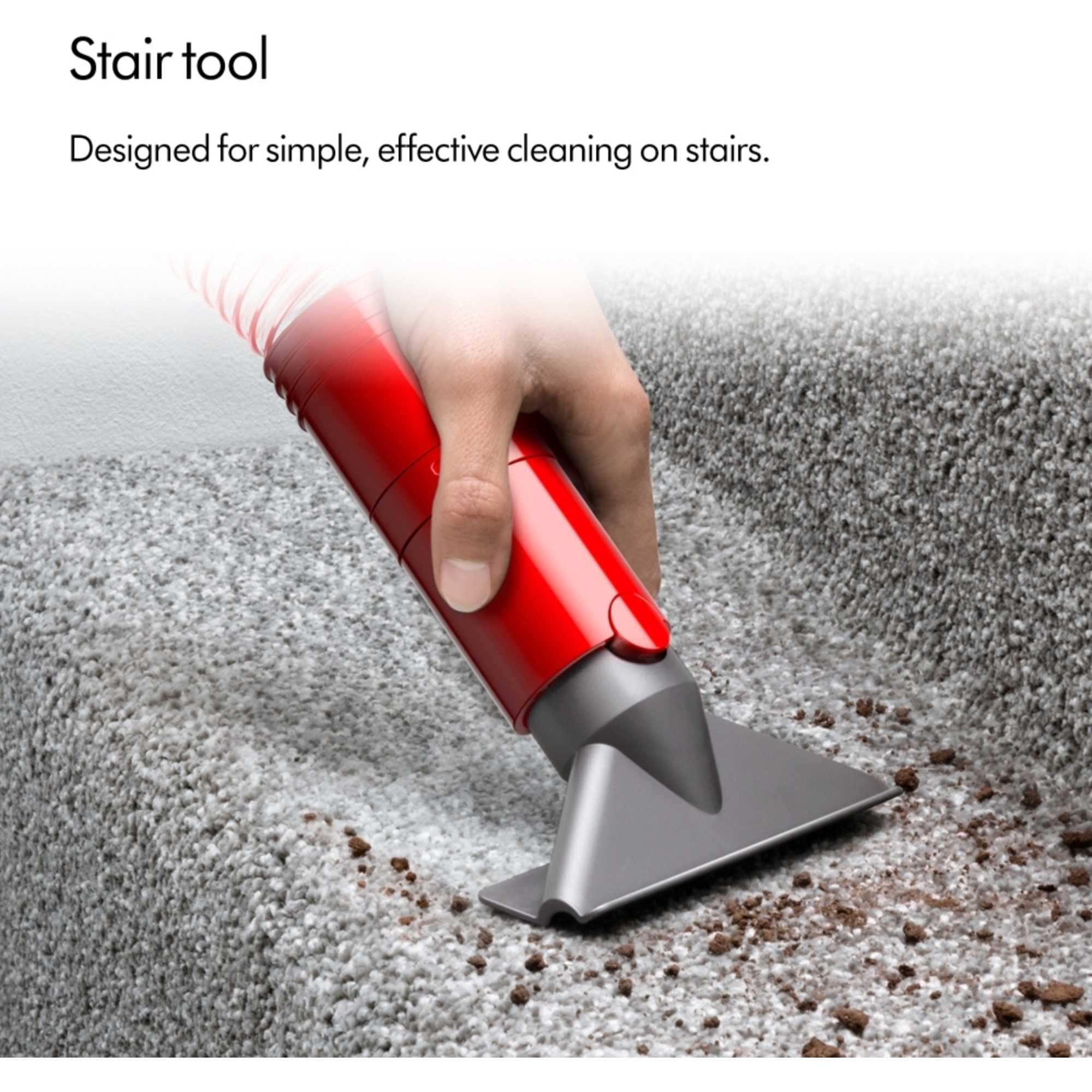 Dyson BALLANIMALMF2