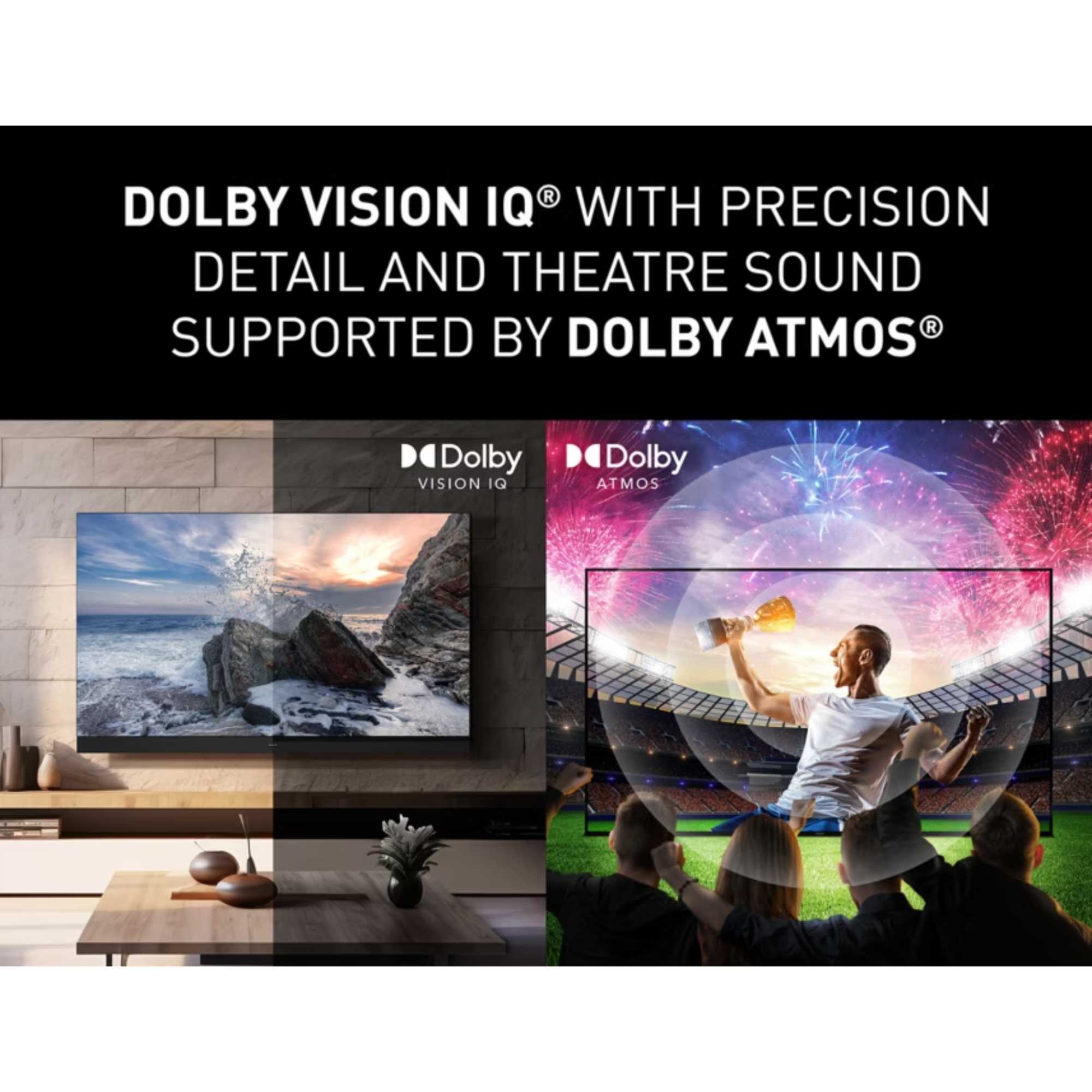 TV55W95BEB 55" 4K Ultra HD Smart TV 144Hz with Freely